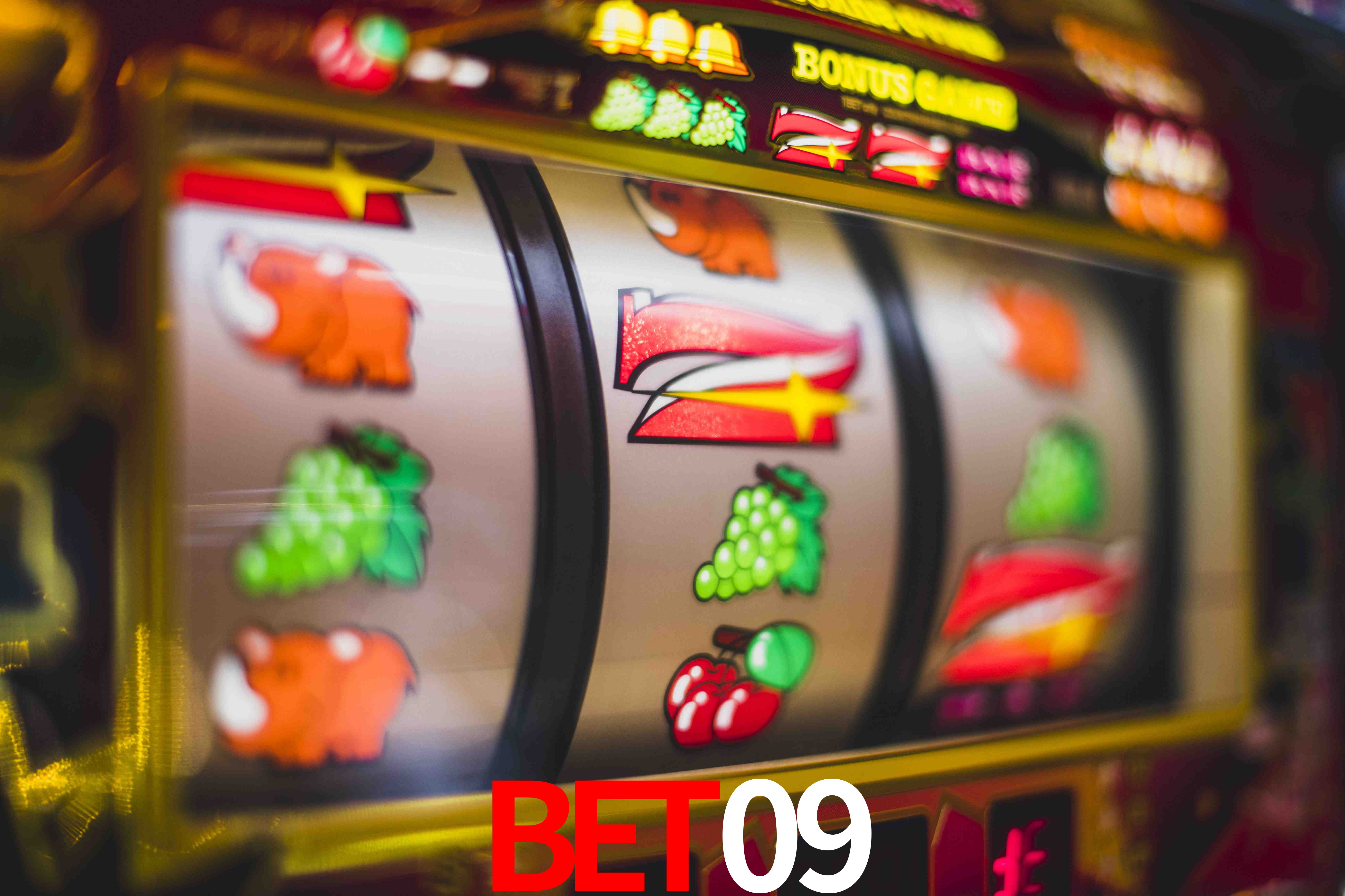 Sports Statistics bet09